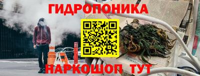 мяу мяу мука Гусев