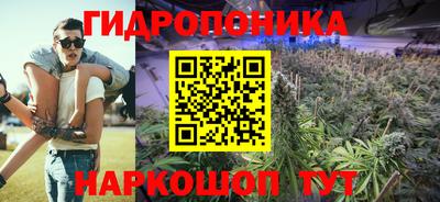 сатива Бийск