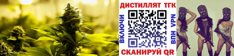 mega маркетплейс  Энгельс  ТГК концентрат 