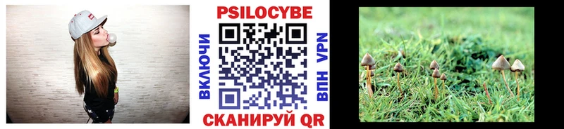 Псилоцибиновые грибы ЛСД  OMG как войти  Энгельс  наркотики 