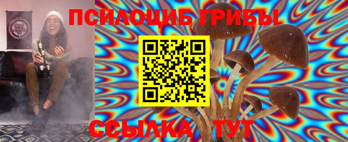 Энгельс  Галлюциногенные грибы мухоморы  Галлюциногенные грибы мухоморы  Вход с VPN 